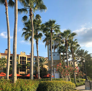 Meet your Posher, Jenella